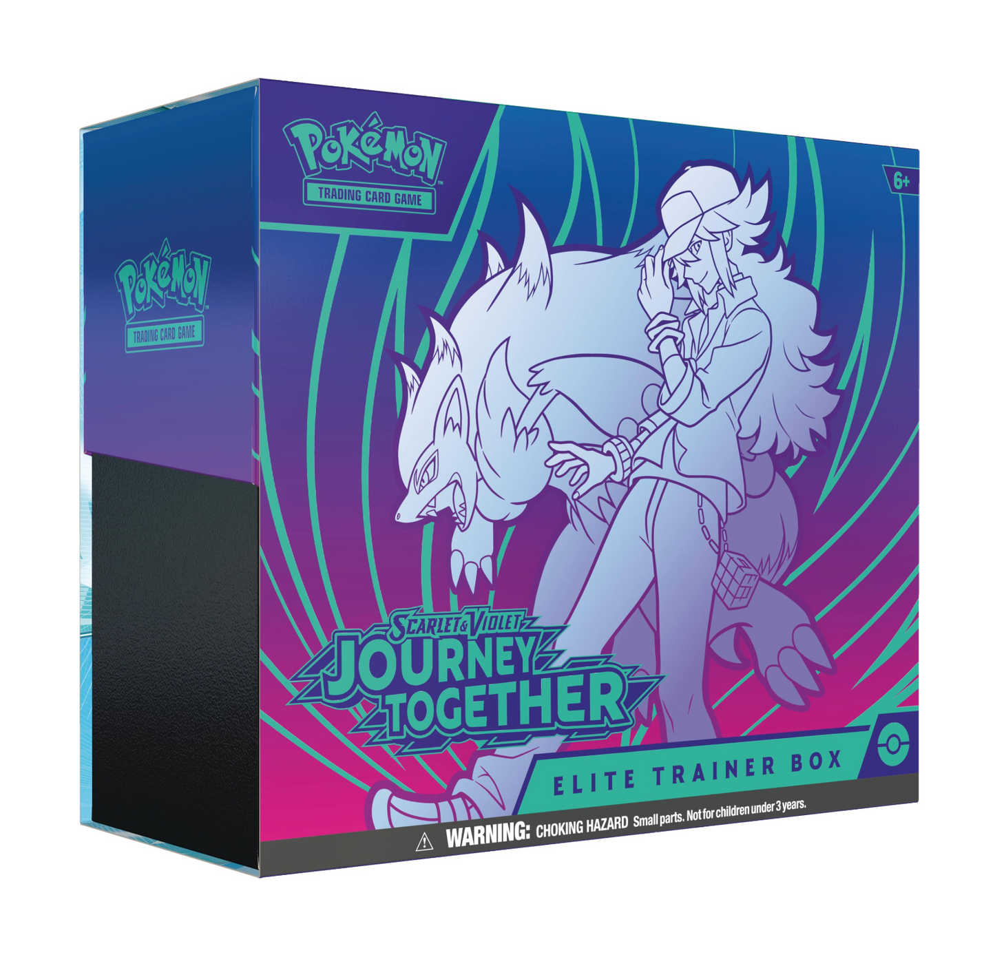Pokemon Journey Together